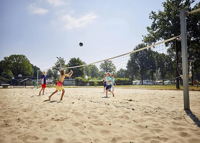 In Limburg Near Subtropical Pool *