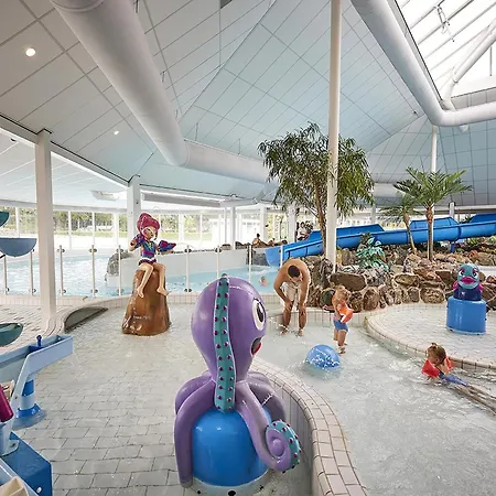 In Limburg Near Subtropical Pool Villa Roggel